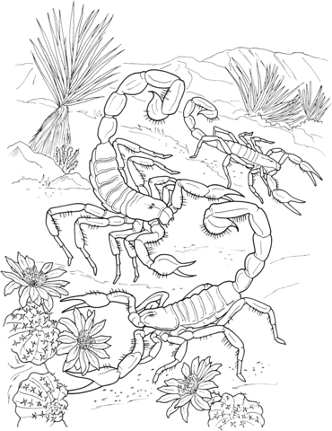 Desert Scorpions Coloring Page